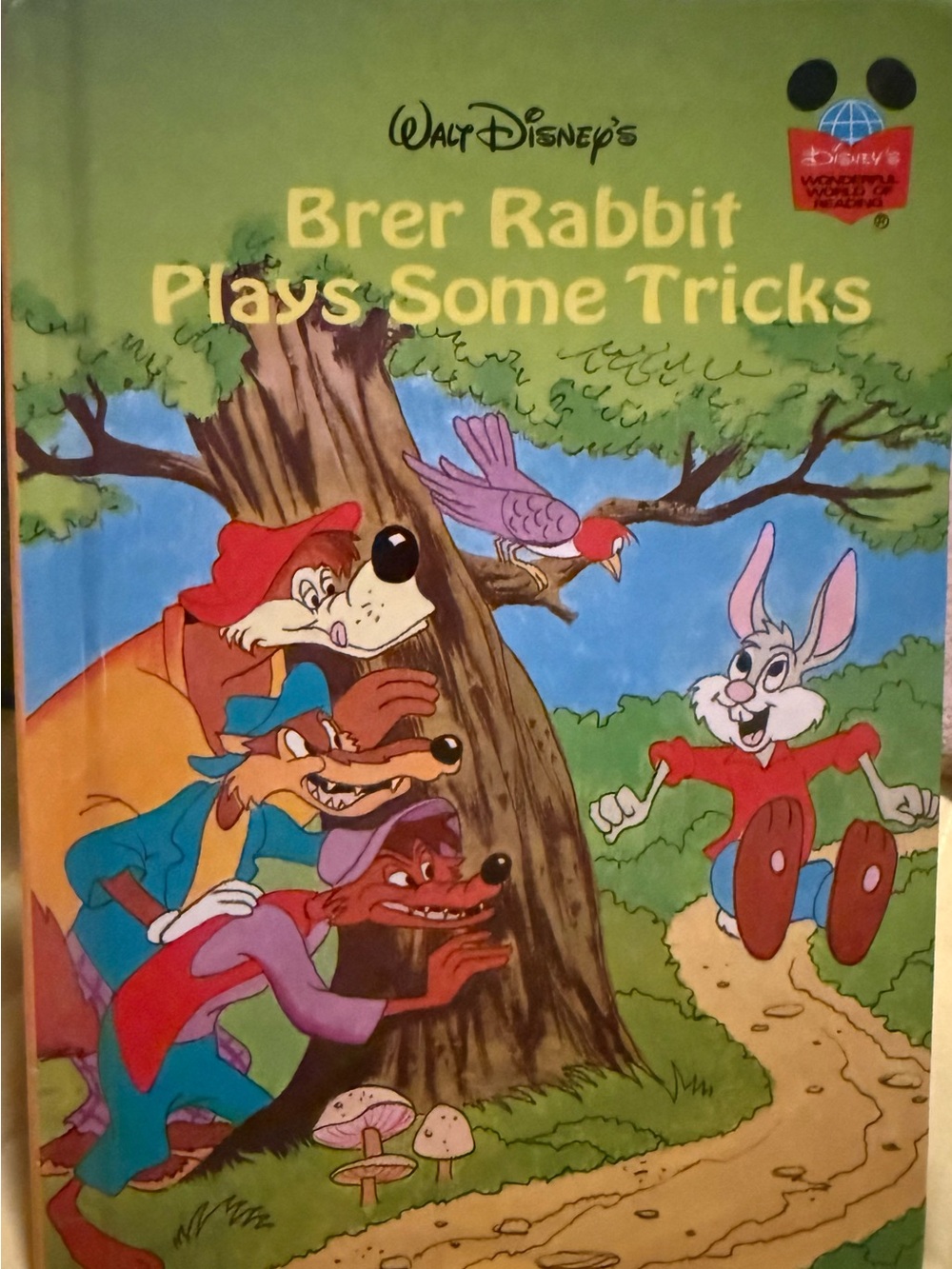 Walt Disney Brer Rabbit Plays Some Tricks -Wonderful World of Reading-1995